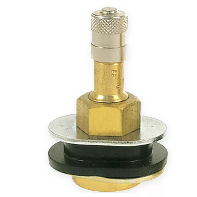 TR501OV Truck Tire Valve (2)
