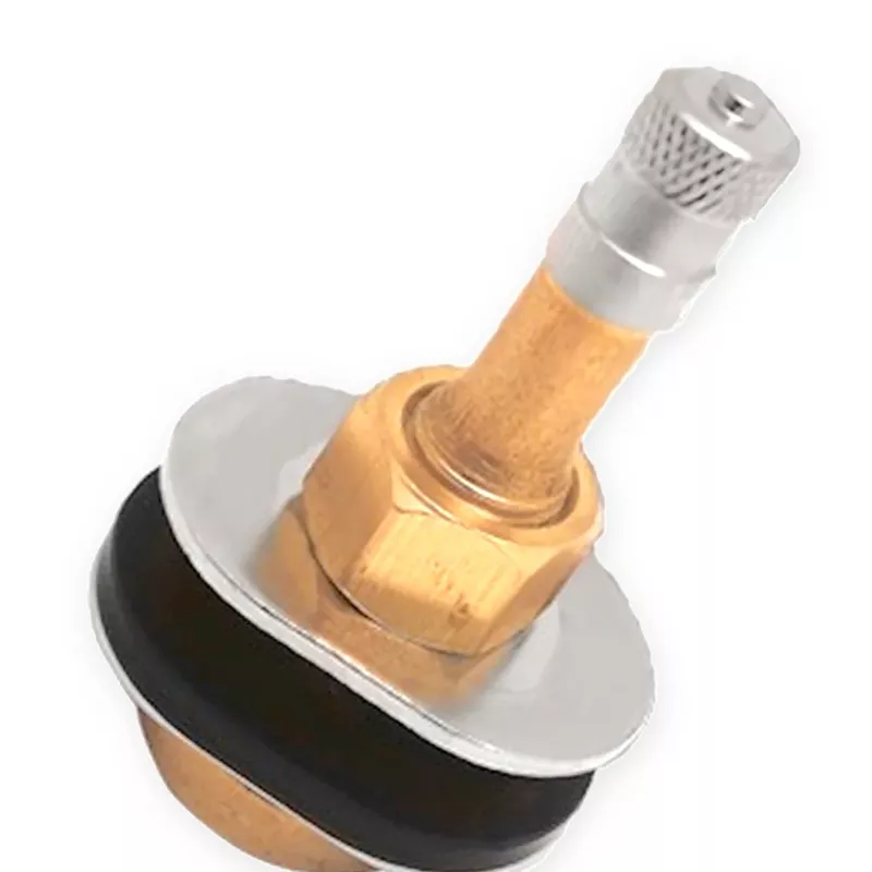TR501OV Truck Tire Valve (3)