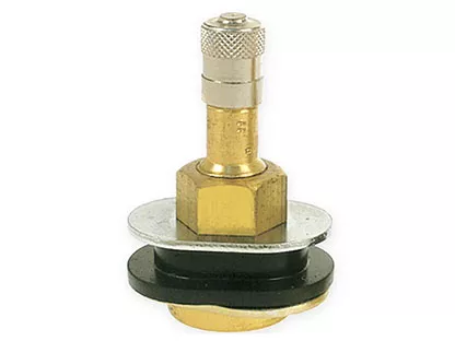TR501OV Truck Tire Valve