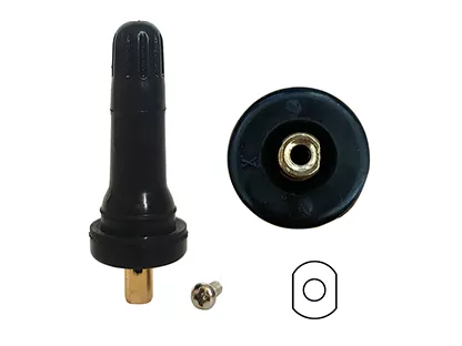 TPMS Valve 01 
