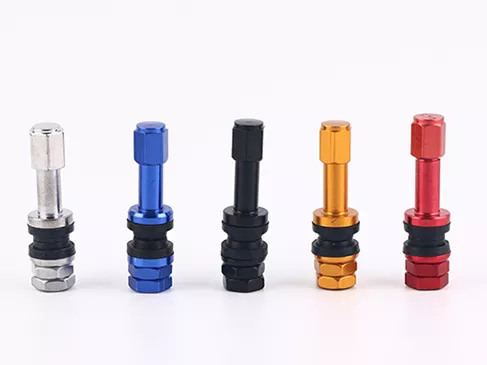 Motorcycle Tire Valve Stem TR48E