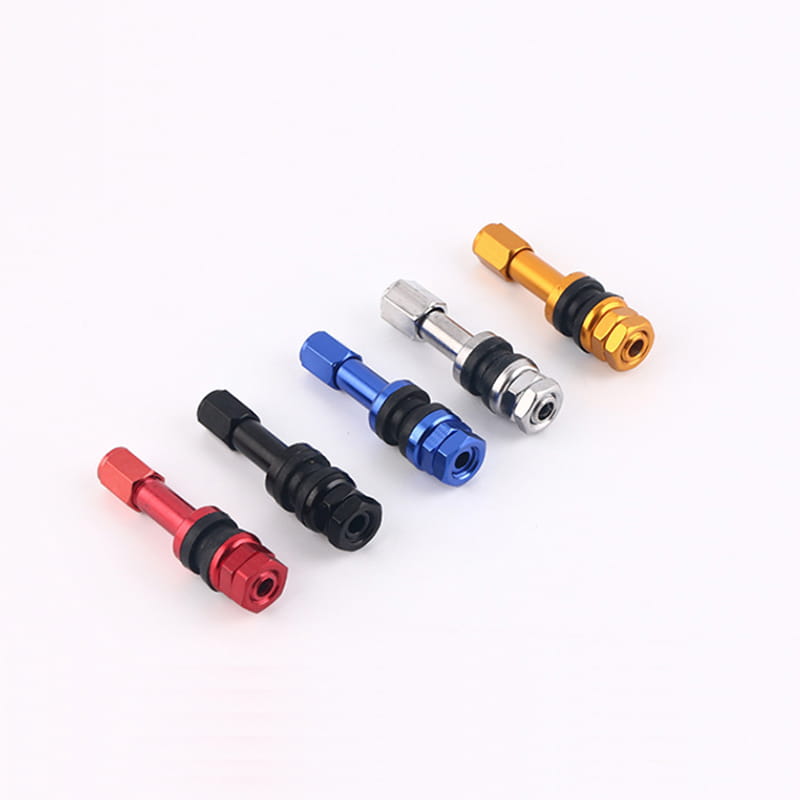 Motorcycle Tire Valve Stem TR48E
