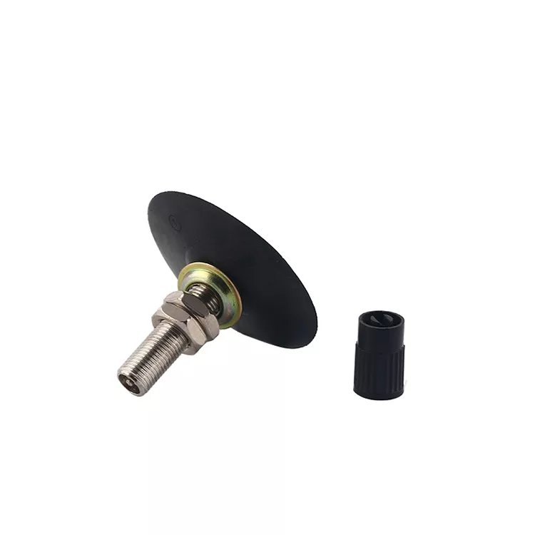 TR4 Tire Valve Stem