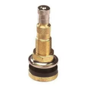 TR618A Air Liquid Tire Valve Stem
