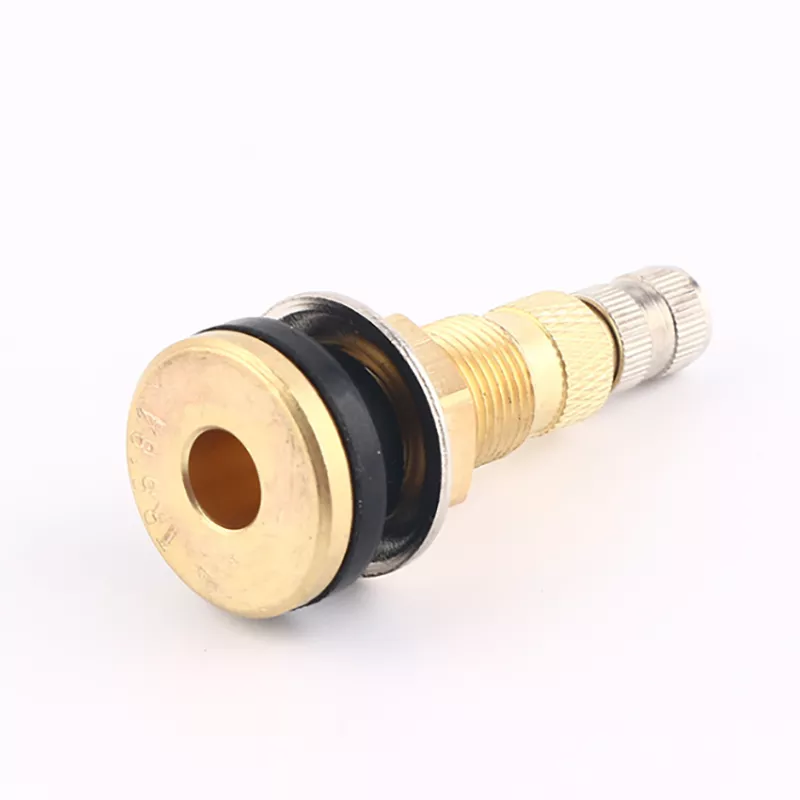 TR618A Air Liquid Tire Valve Stem