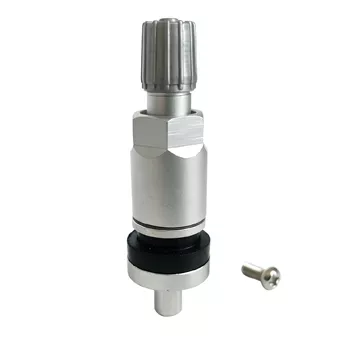 TPMS Valve 05 -  TPMS Sensor Valve Stem