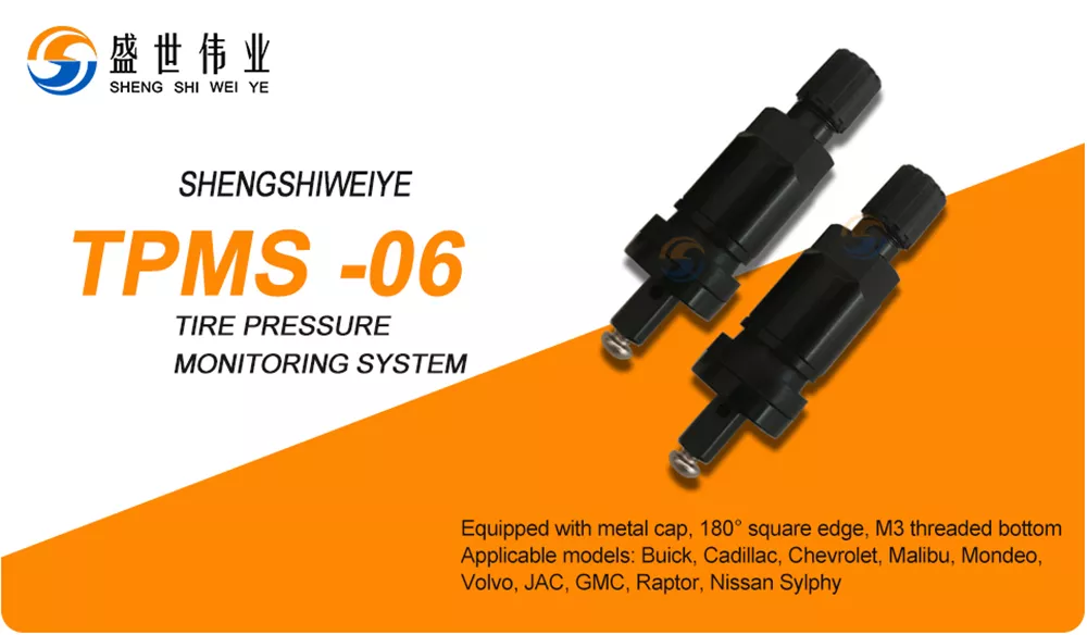 TPMS Valve 06