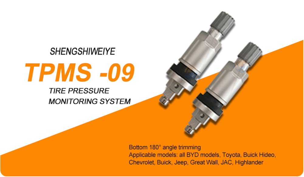 TPMS Valve 09