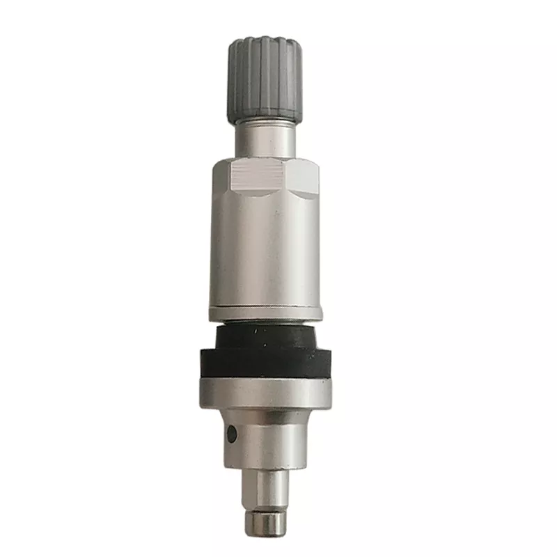 TPMS Valve 10