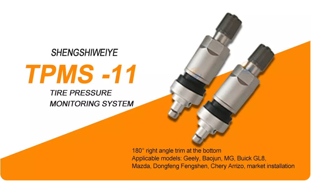 TPMS Valve 11
