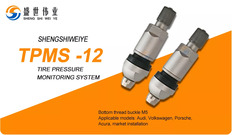 TPMS Valve 12