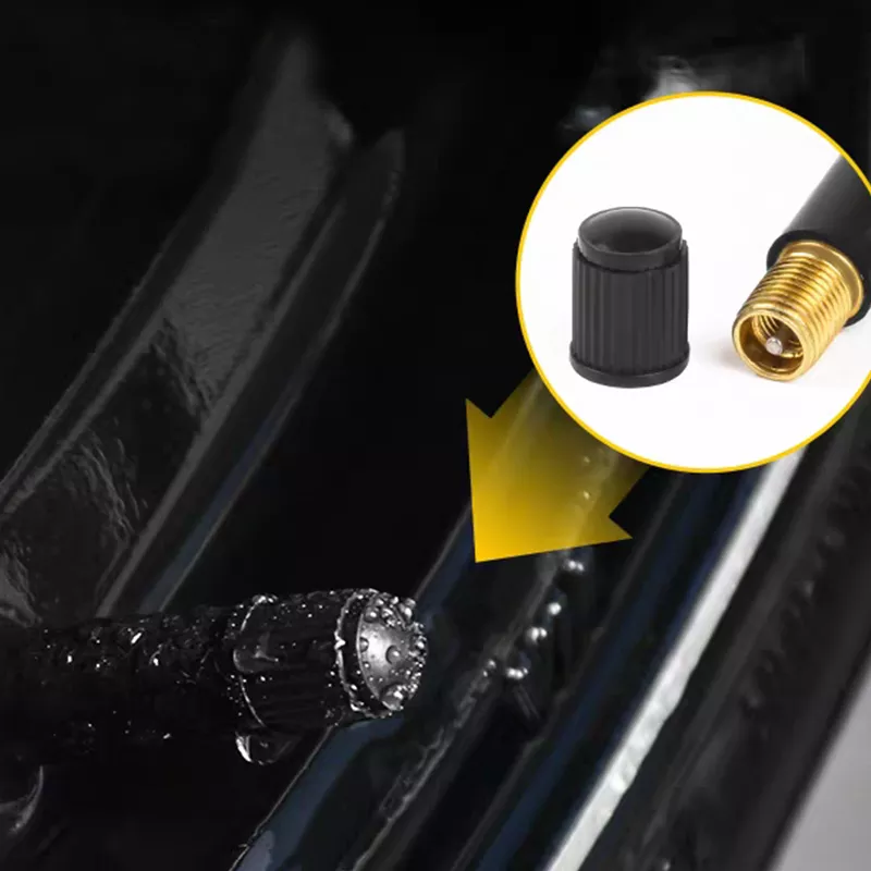 Tr413 Snap-in Car Tire Valve