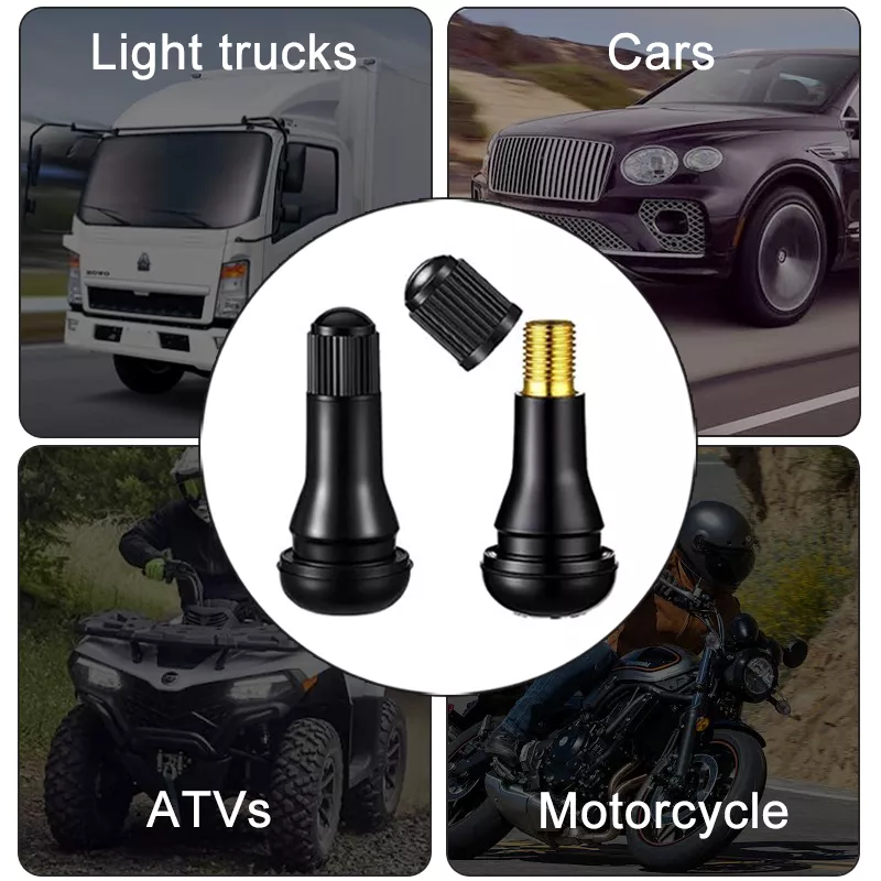 Tr413 Snap-in Car Tire Valve