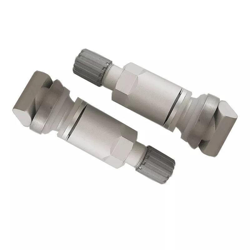 TPMS valve 17-2