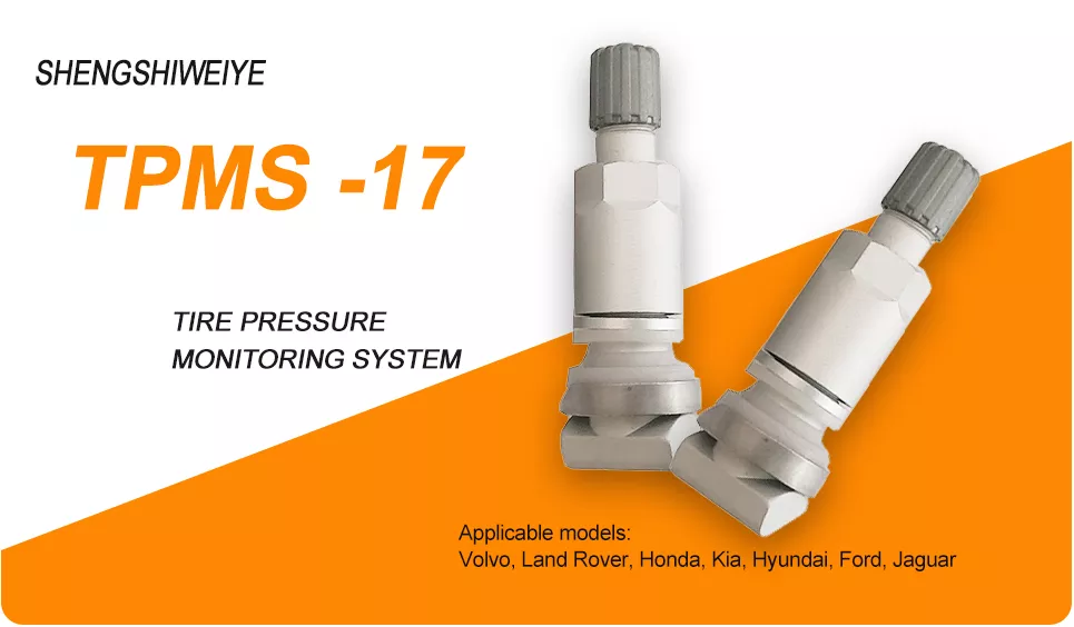 TPMS Valve 17