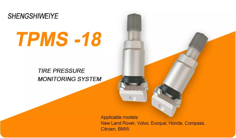 TPMS Valve 18