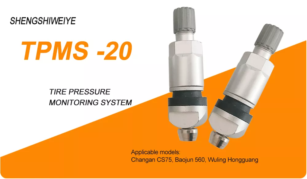 TPMS Valve 20