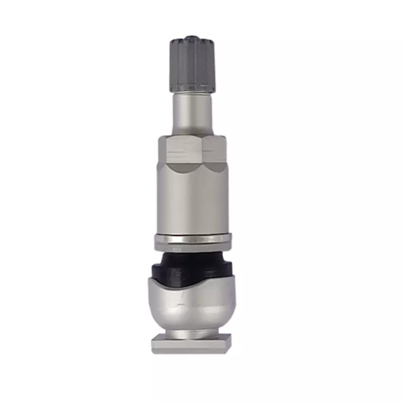 TPMS Valve 21