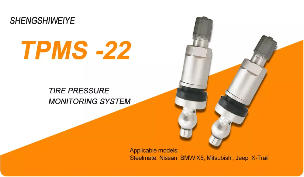 TPMS Valve 22