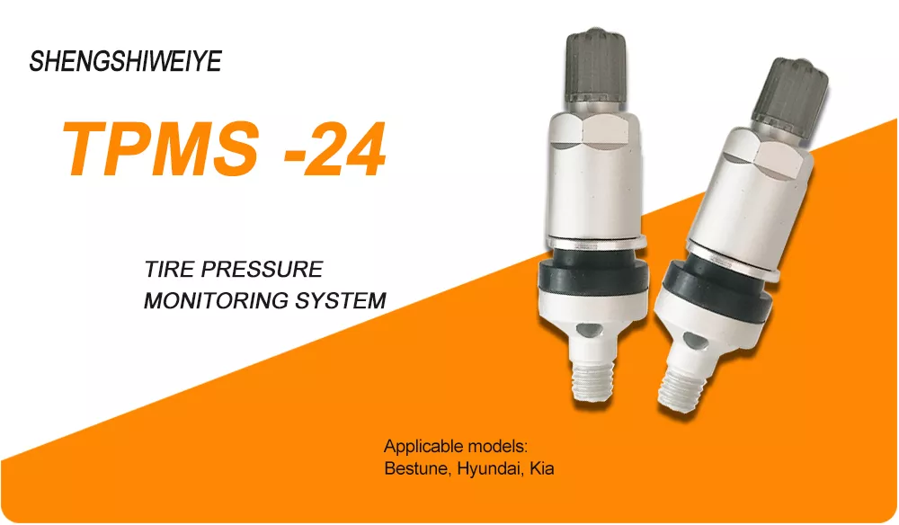 TPMS Valve 24