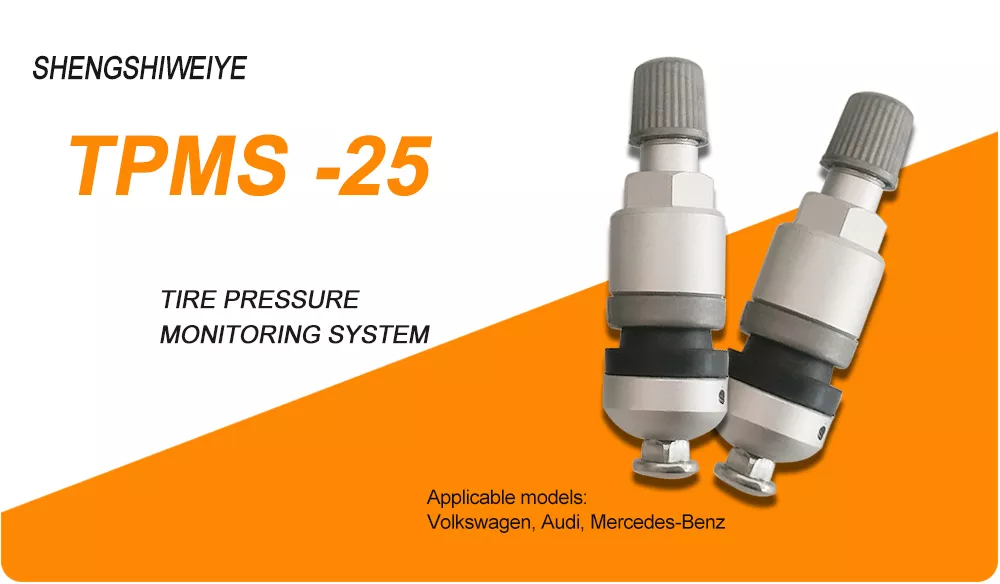 TPMS Valve 25