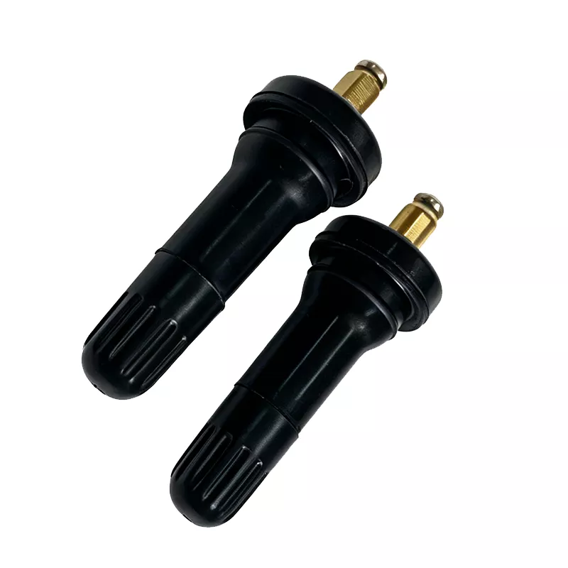 PMS Valve 02