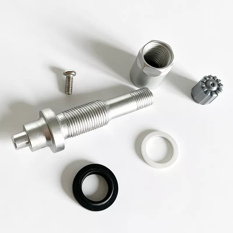 TPMS Valve 10