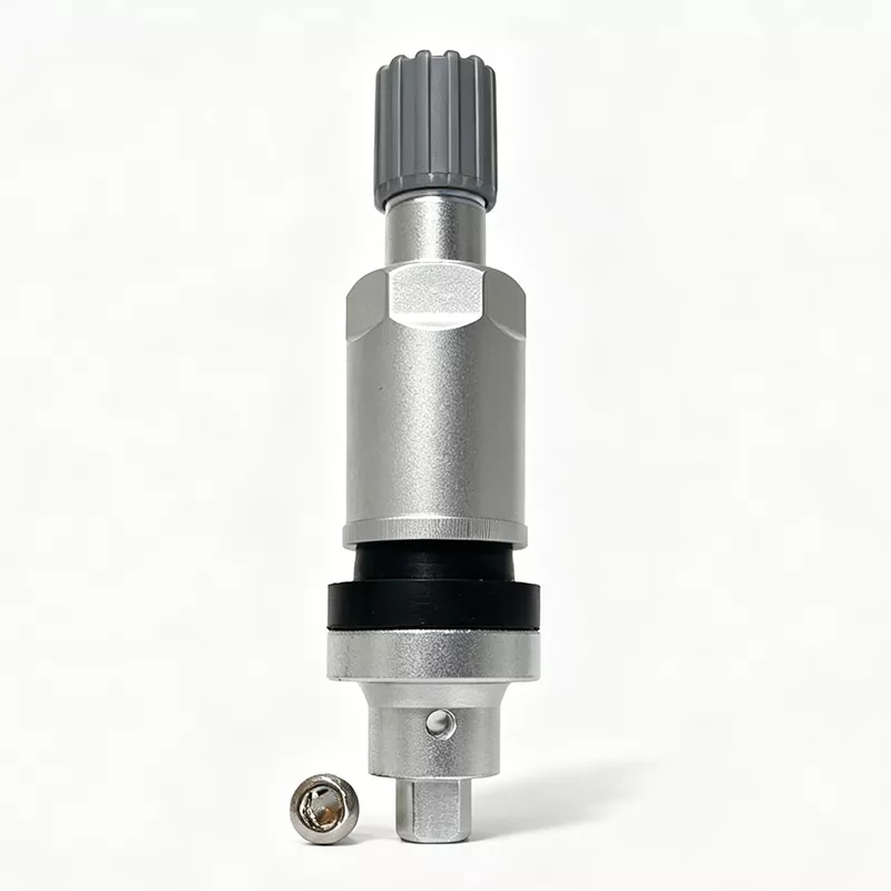 TPMS Valve 10