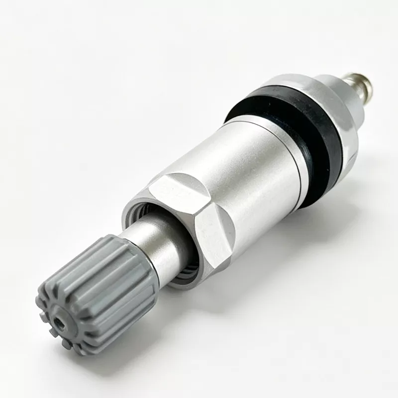 TPMS Valve 10