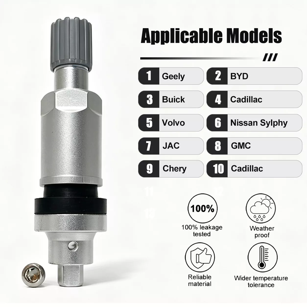 TPMS Valve 10