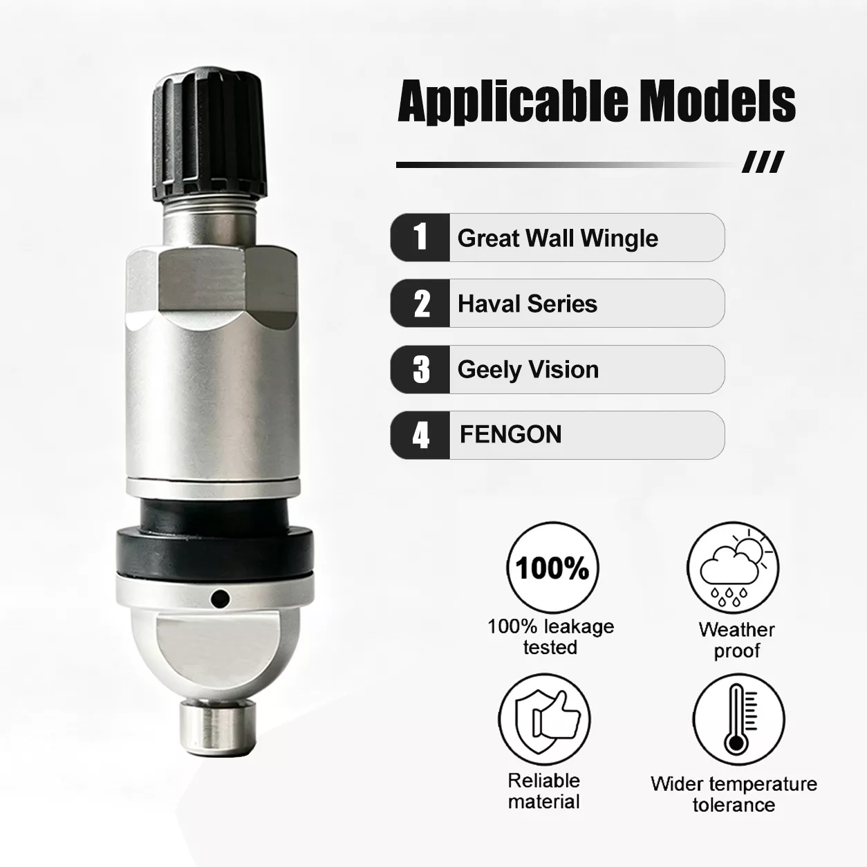 TPMS Valve 13