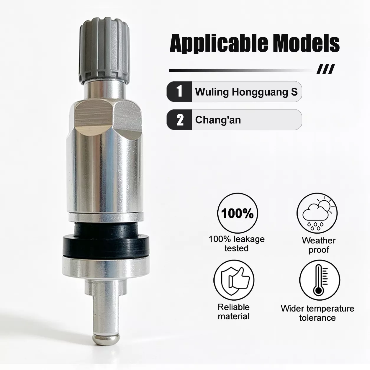 TPMS Valve 31