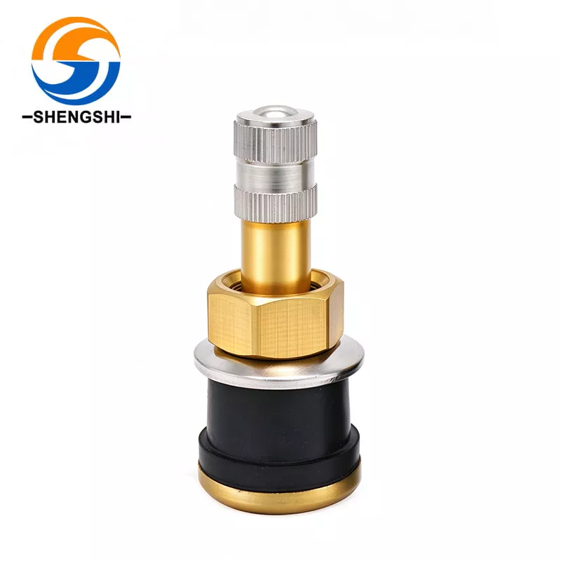 Truck Tire Valve Stem TR501 Brass Clamp-in | Shengshiweiye