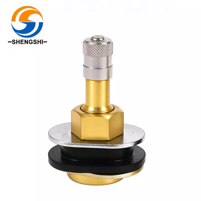 TR501OV Truck Tire Valve - Brass Clamp-in Tubeless Valve Stem